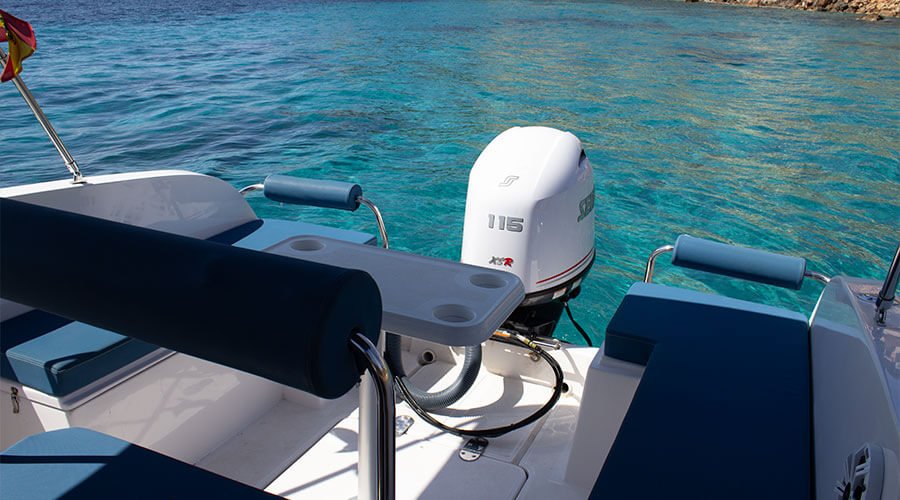 Cattleya-x6-Cabin-4