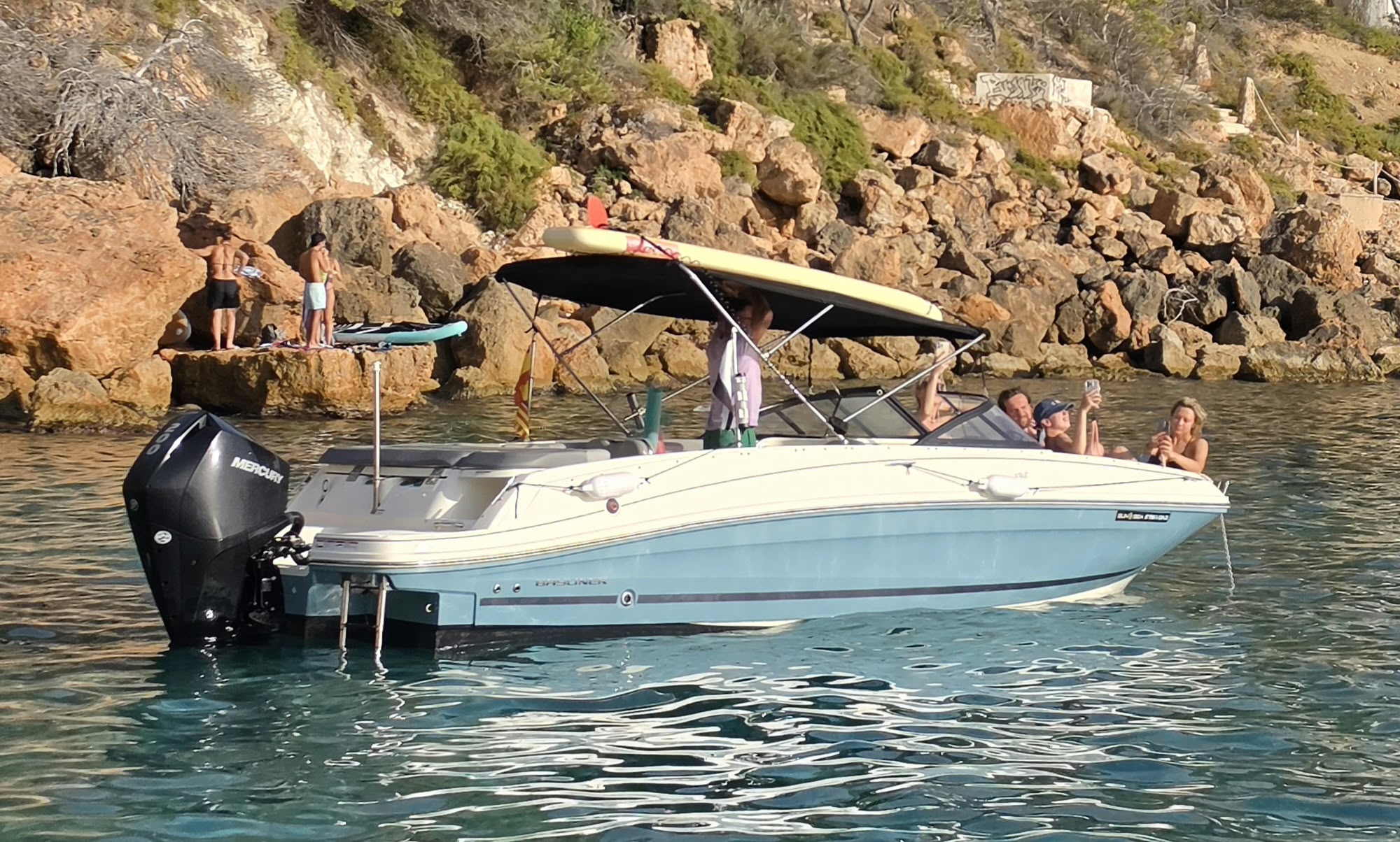 Bayliner toldo